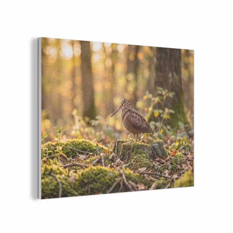 Houtsnip - Bos - Bladeren - Herfst - Gecamoufleerd PET vilt klein -3d