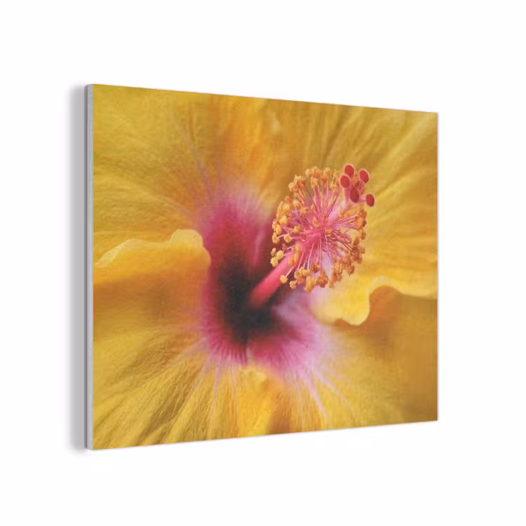 Geel - Hibiscus - Tropisch PET vilt klein -3d