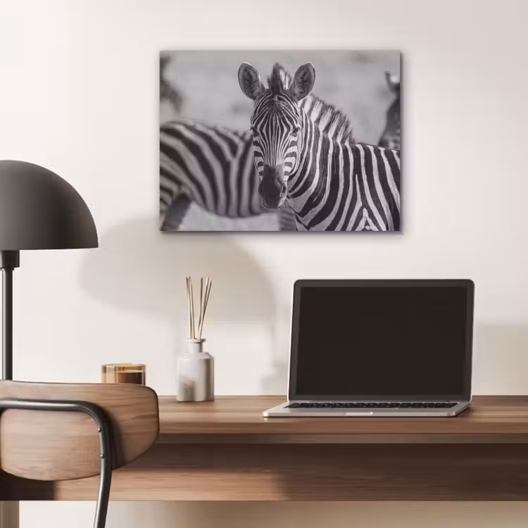 Zebra's - Zwart - Wit PET vilt klein -sfeer5