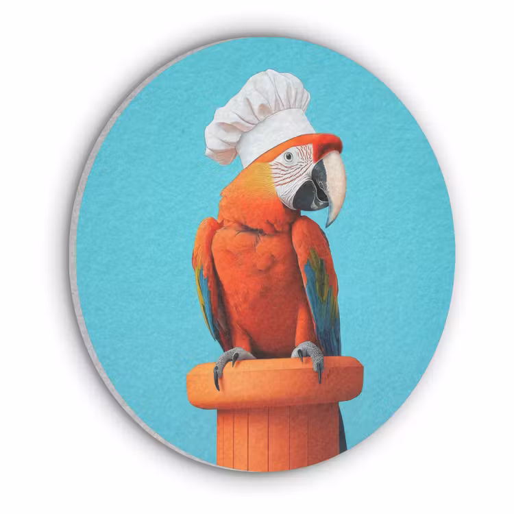 Ara - Koksmuts - Sokkel - Grappig Akoestische PET Vilt - Rond klein -3d