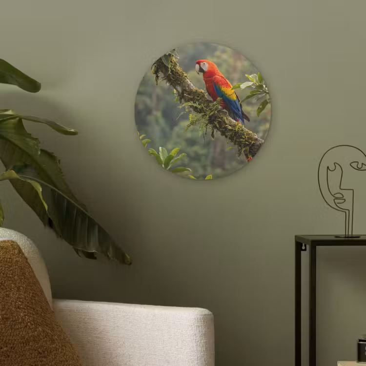 Ara - Jungle - Rood Akoestische PET Vilt - Rond klein -sfeer2
