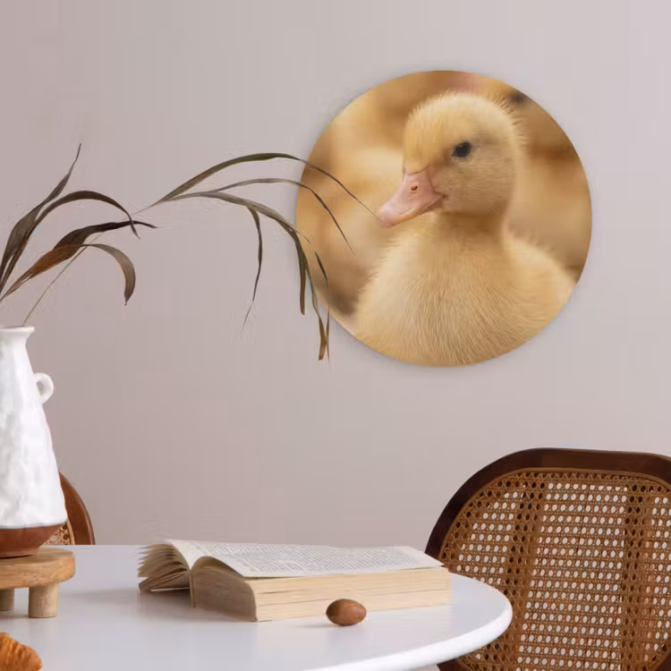 Pijltje - Eend - Natuur - Geel Akoestische PET Vilt - Rond klein -sfeer3