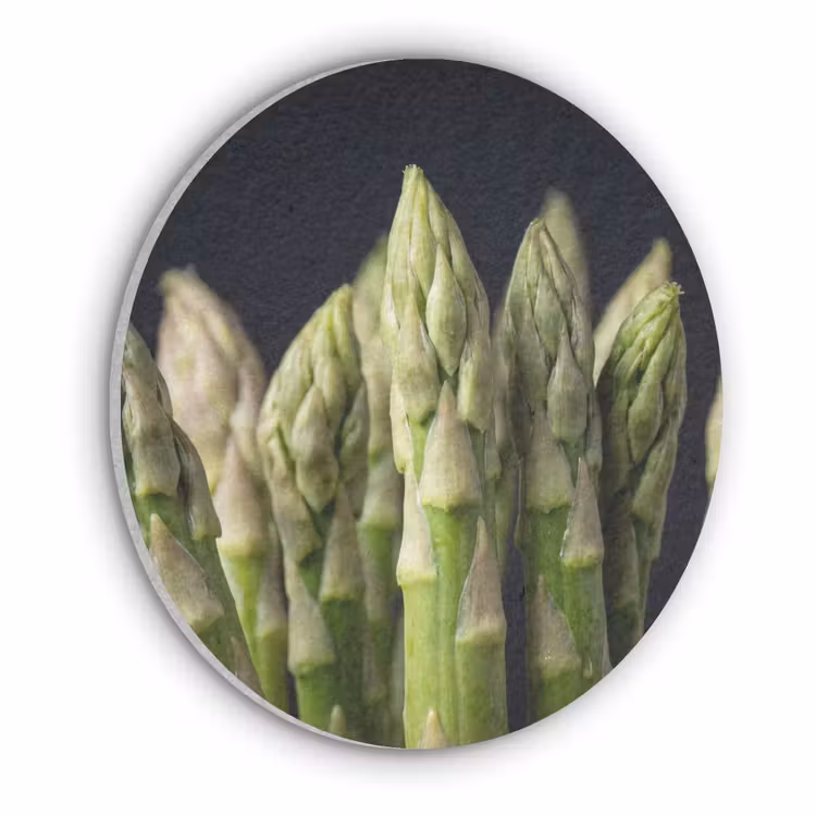 Asperges - Groen - Zwart Akoestische PET Vilt - Rond klein -3d