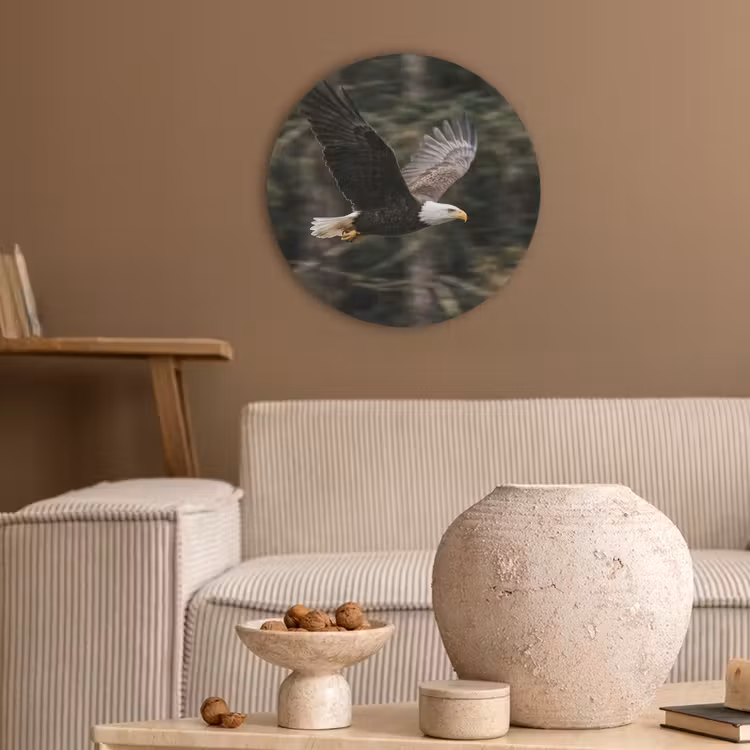 Zeearend - Vliegen - Bos - Natuur Akoestische PET Vilt - Rond klein -sfeer1