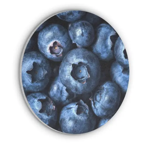 Bessen - Blauw - Fruit Akoestische PET Vilt - Rond klein -3d