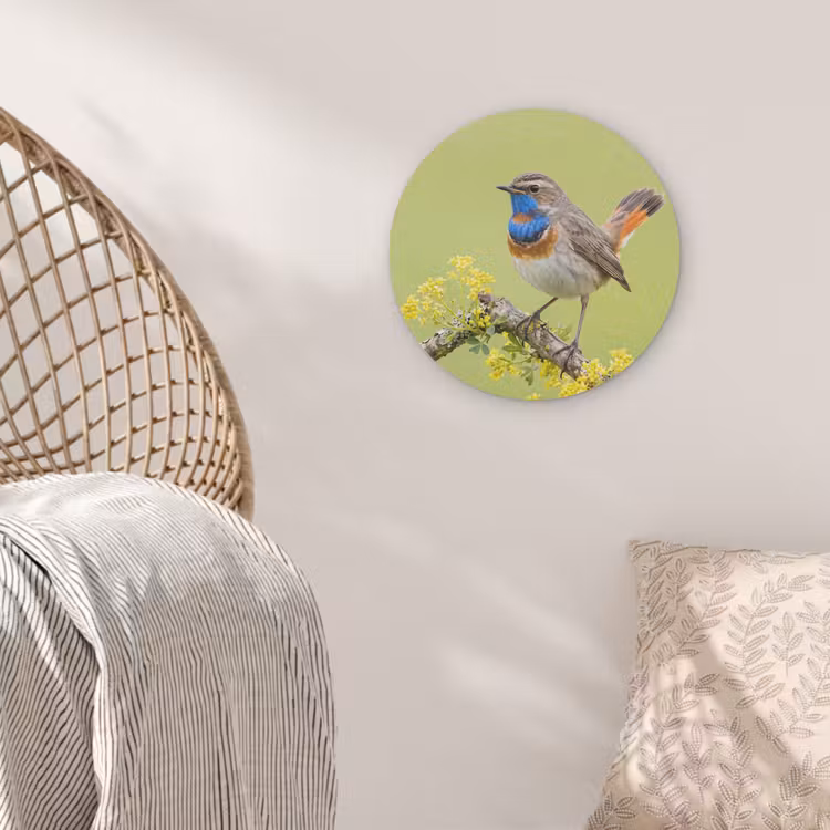 Vogel - Tak - Natuur - Kleurrijk Akoestische PET Vilt - Rond klein -sfeer4