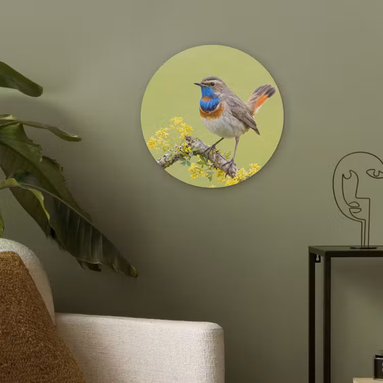 Vogel - Tak - Natuur - Kleurrijk Akoestische PET Vilt - Rond klein -sfeer2