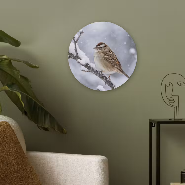 Vogel - Tak - Sneeuw - Winter Akoestische PET Vilt - Rond klein -sfeer2