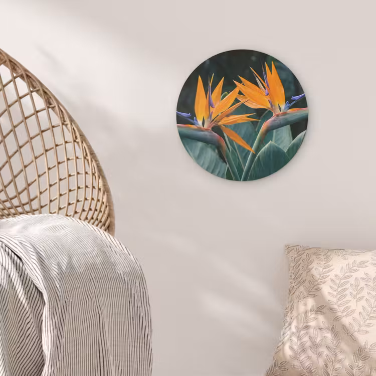 Paradijsvogel - Bloem - Exotisch Akoestische PET Vilt - Rond klein -sfeer4