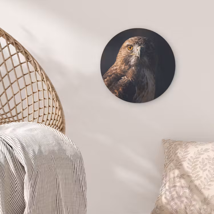 Roofvogel - Buizerd - Bruin Akoestische PET Vilt - Rond klein -sfeer4