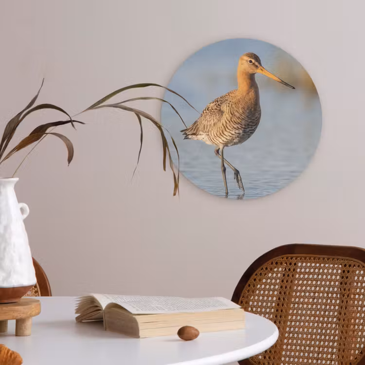 Vogel - Steltloper - Water - Natuur Akoestische PET Vilt - Rond klein -sfeer3
