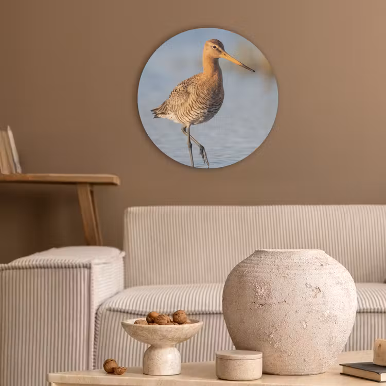 Vogel - Steltloper - Water - Natuur Akoestische PET Vilt - Rond klein -sfeer1
