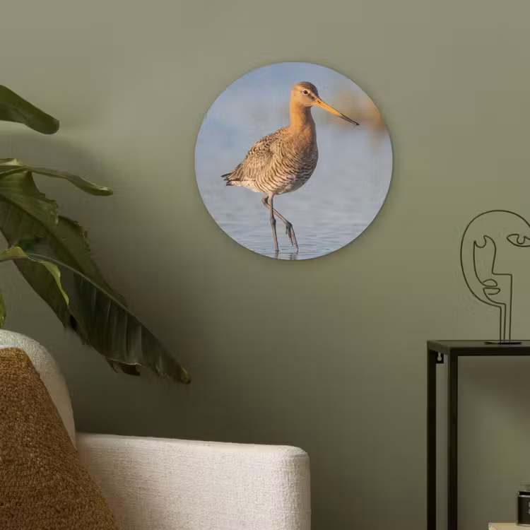 Vogel - Steltloper - Water - Natuur Akoestische PET Vilt - Rond klein -sfeer2