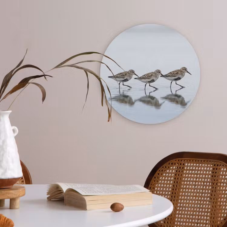 Vogels - Water - Grijs Akoestische PET Vilt - Rond klein -sfeer3