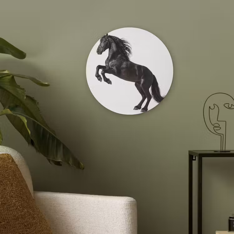 Zwart - Paard - Portret Akoestische PET Vilt - Rond klein -sfeer2