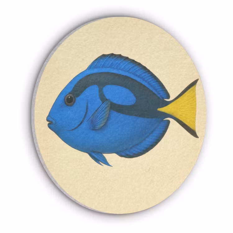 Blauw - Dory - Vis - Staartvin Akoestische PET Vilt - Rond klein -3d