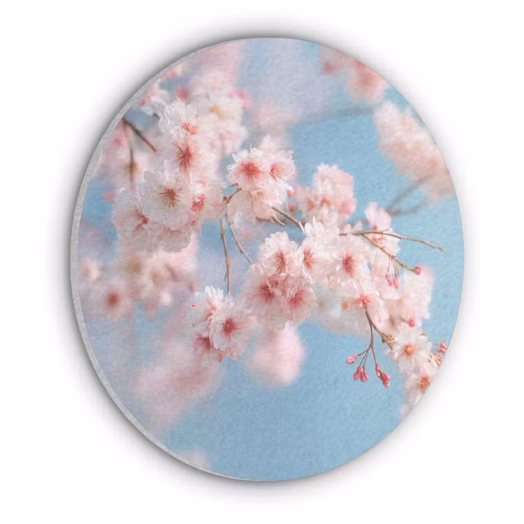 Takken - Bloesems - Roze Akoestische PET Vilt - Rond klein -3d