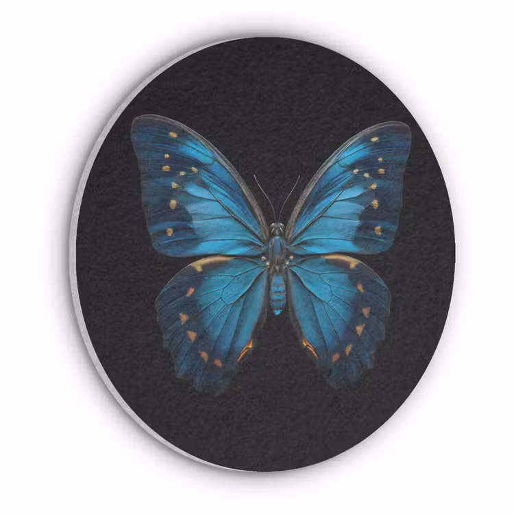 Vlinder - Blauw - Contrast Akoestische PET Vilt - Rond klein -3d