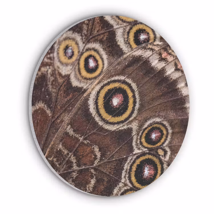 Vlinder - Vleugel - Abstract Akoestische PET Vilt - Rond klein -3d