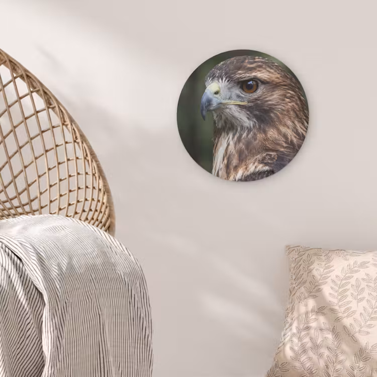 Buizerd - Roofvogel - Natuur - Bruin Akoestische PET Vilt - Rond klein -sfeer4