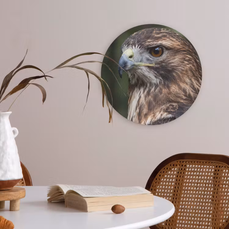 Buizerd - Roofvogel - Natuur - Bruin Akoestische PET Vilt - Rond klein -sfeer3