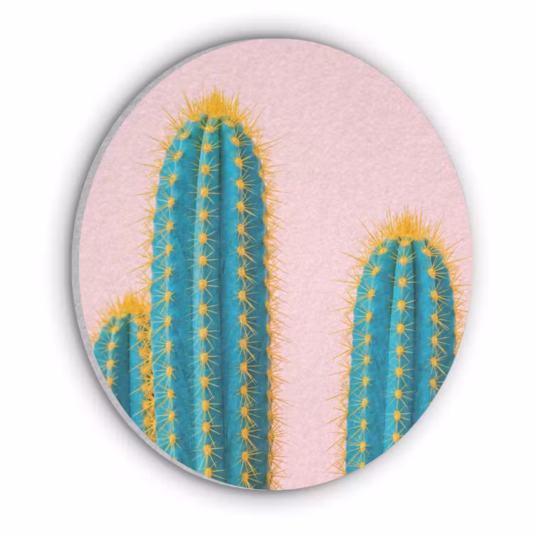 Cactussen - Modern - Pastel Akoestische PET Vilt - Rond klein -3d