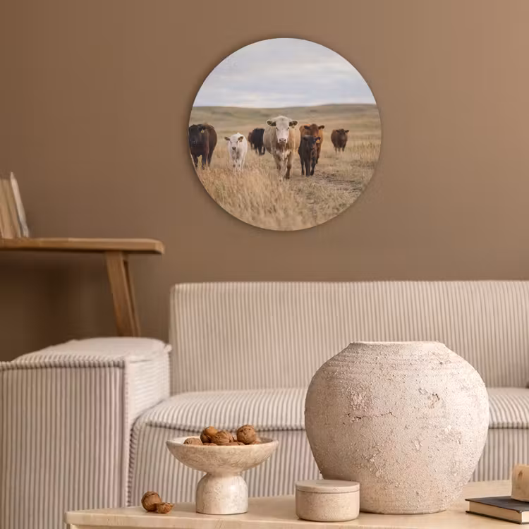 Runderen - Kudde - Landschap - Weide - Rustig Akoestische PET Vilt - Rond klein -sfeer1