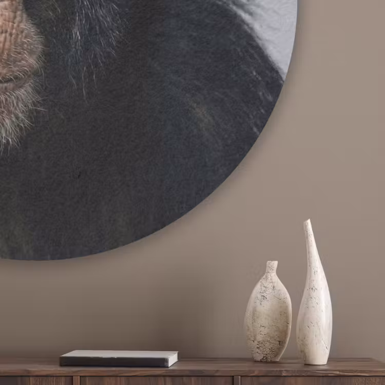 Chimpansee - Badeend - Grijs Akoestische PET Vilt - Rond klein -sfeer5_closeup