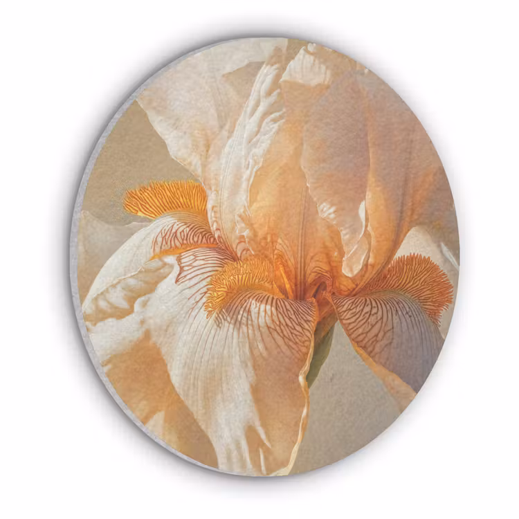 Close up - Oranje - Iris Akoestische PET Vilt - Rond klein -3d