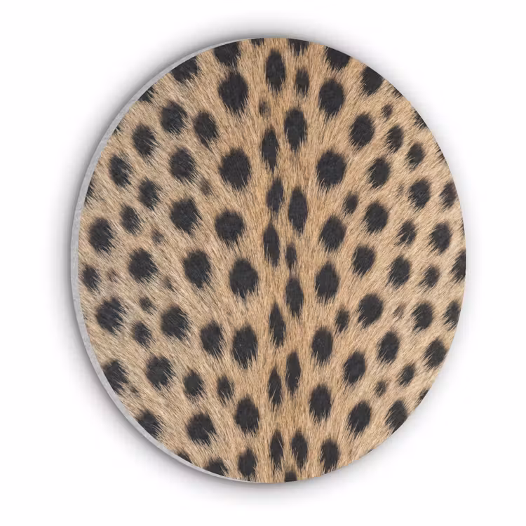 Vacht - Jachtluipaard - Zwart - Wit Akoestische PET Vilt - Rond klein -3d