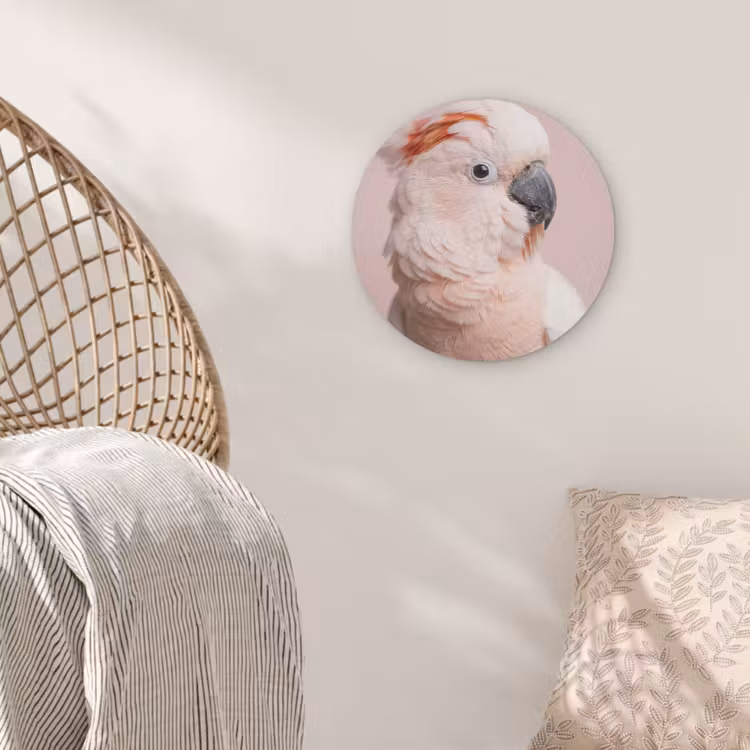 Kaketoe - Portret - Roze Akoestische PET Vilt - Rond klein -sfeer4