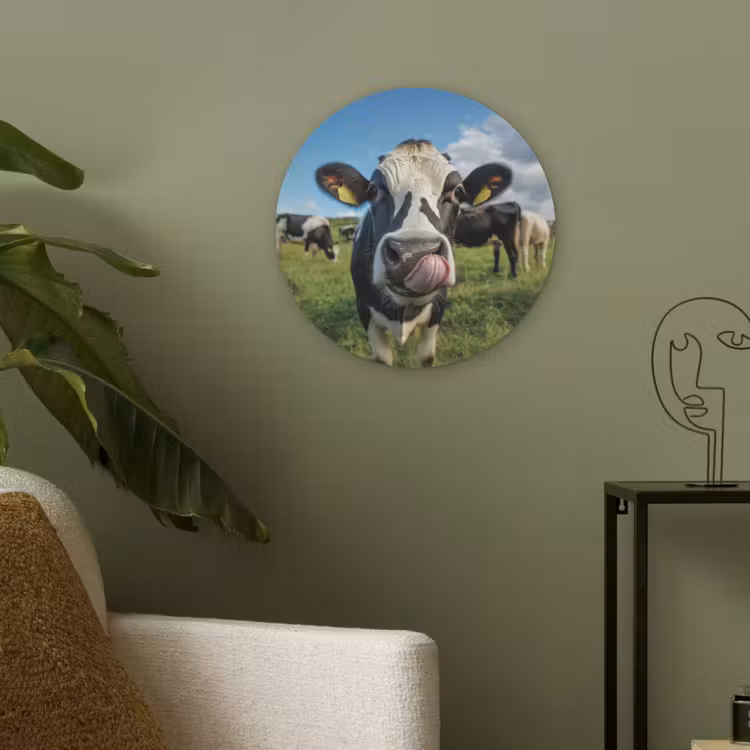 Koe - Tong - Weide Akoestische PET Vilt - Rond klein -sfeer2