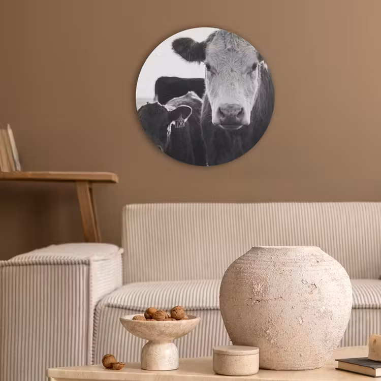 Koeien - Zwart - Wit Akoestische PET Vilt - Rond klein -sfeer1