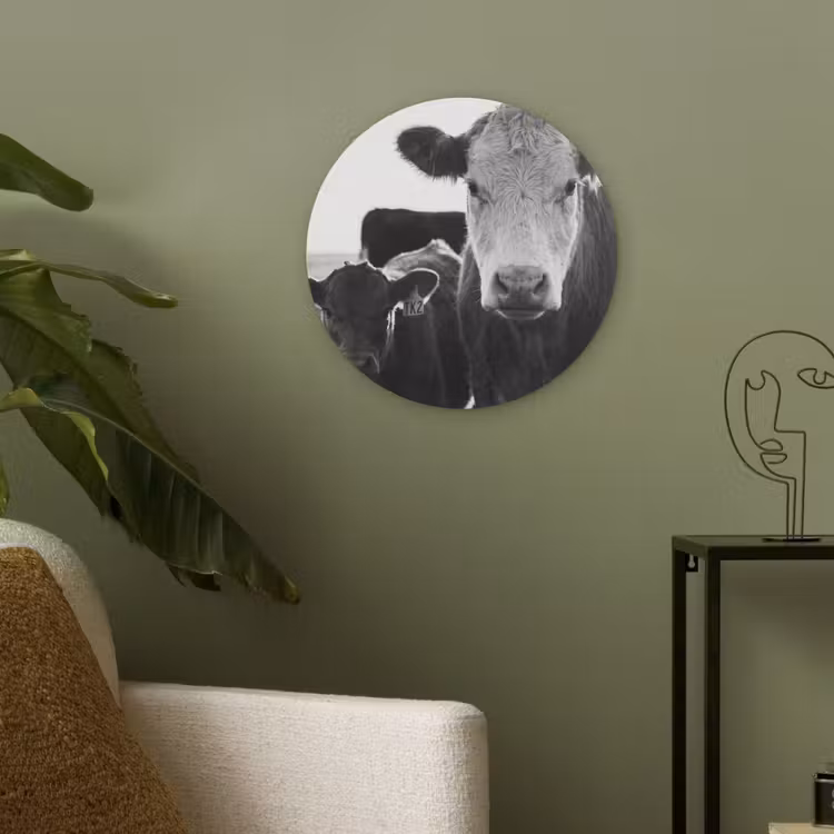 Koeien - Zwart - Wit Akoestische PET Vilt - Rond klein -sfeer2