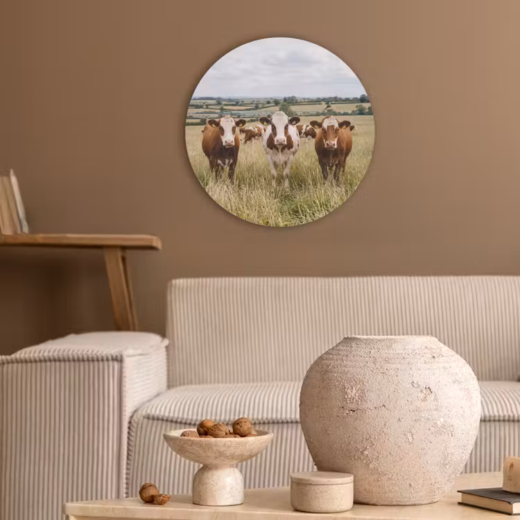 Koeien - Portret - Weide - Boerderij - Nieuwsgierig Akoestische PET Vilt - Rond klein -sfeer1