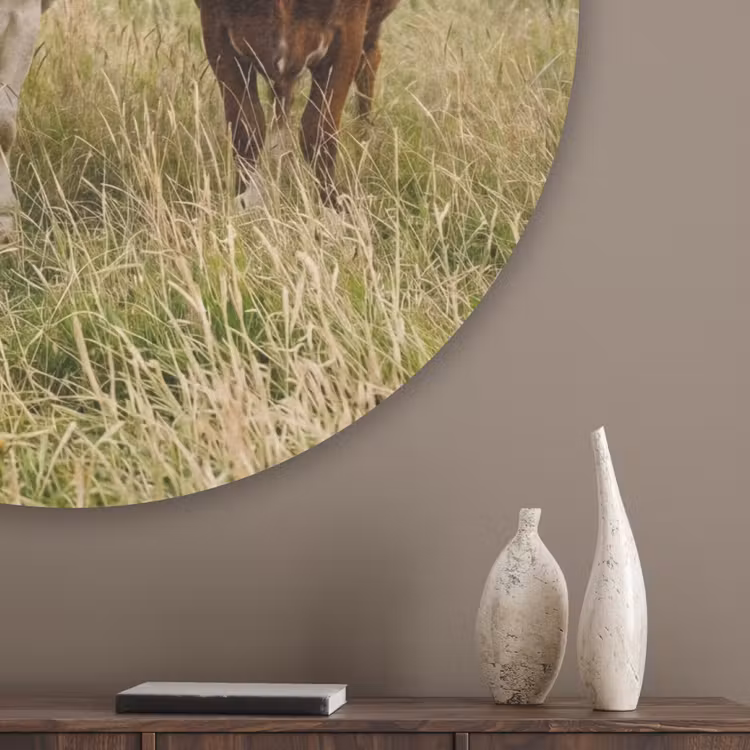 Koeien - Portret - Weide - Boerderij - Nieuwsgierig Akoestische PET Vilt - Rond klein -sfeer5_closeup