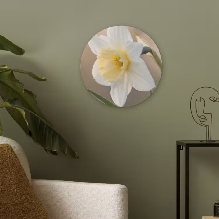 Narcis - Bloem - Minimalistisch Akoestische PET Vilt - Rond klein -sfeer2