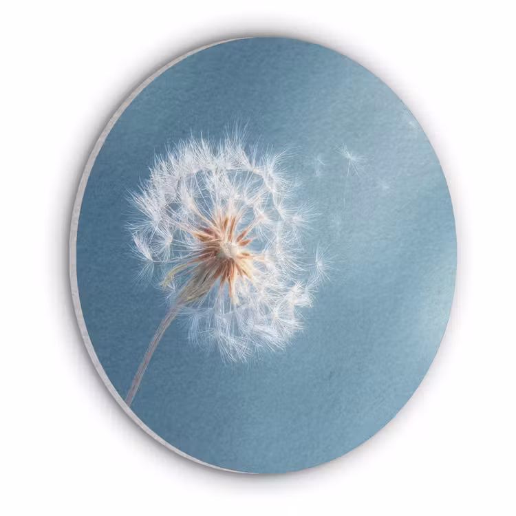 Paardenbloem - Wind - Blauw Akoestische PET Vilt - Rond klein -3d