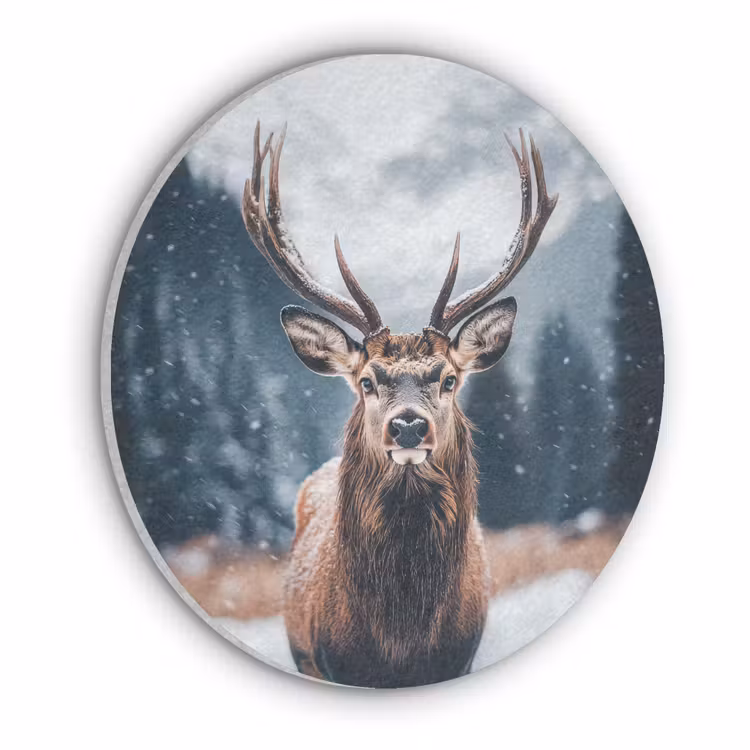 Hert - Dieren - Landschap - Winter - Sneeuw Akoestische PET Vilt - Rond klein -3d