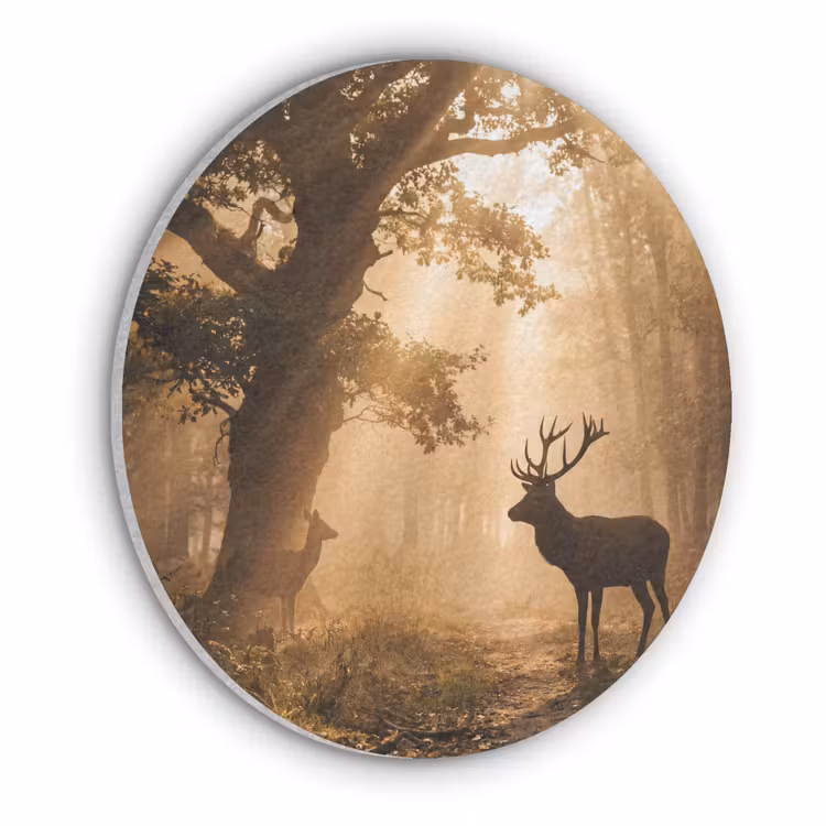 Hert - Bos - Mistig - Natuur - Goud Akoestische PET Vilt - Rond klein -3d