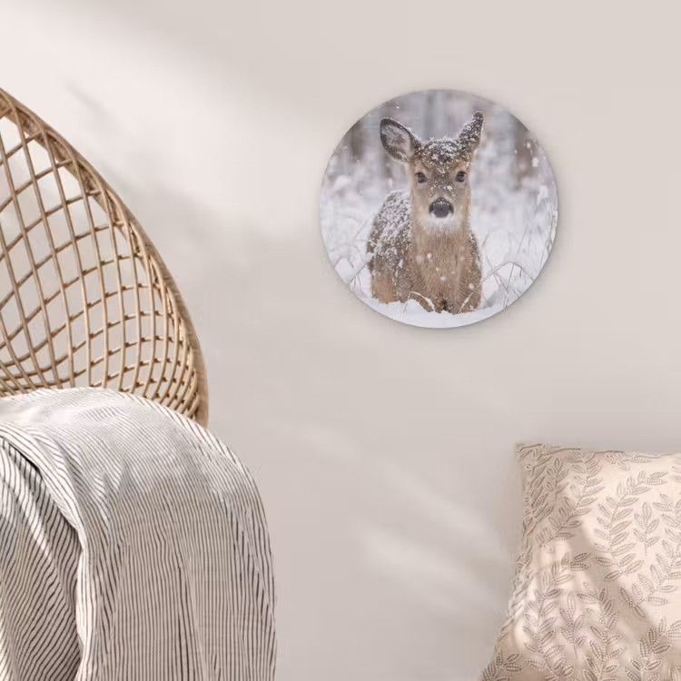 Hert - Sneeuw - Bos - Dieren - Vertederend Akoestische PET Vilt - Rond klein -sfeer4