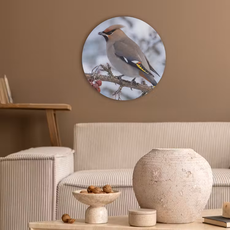 Pestvogel - Bessen - Winter - Natuur Akoestische PET Vilt - Rond klein -sfeer1