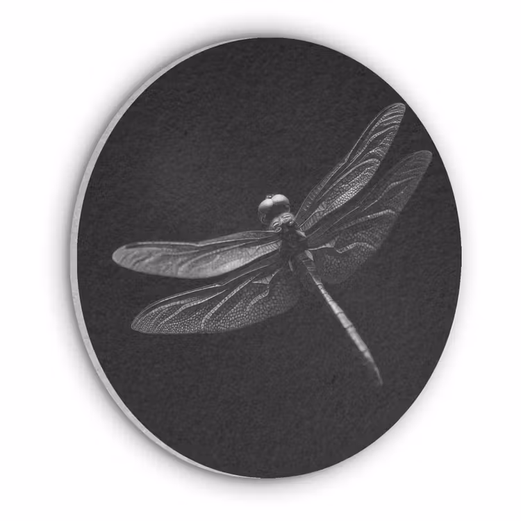 Libelle - Dieren - Zwart - Insect Akoestische PET Vilt - Rond klein -3d