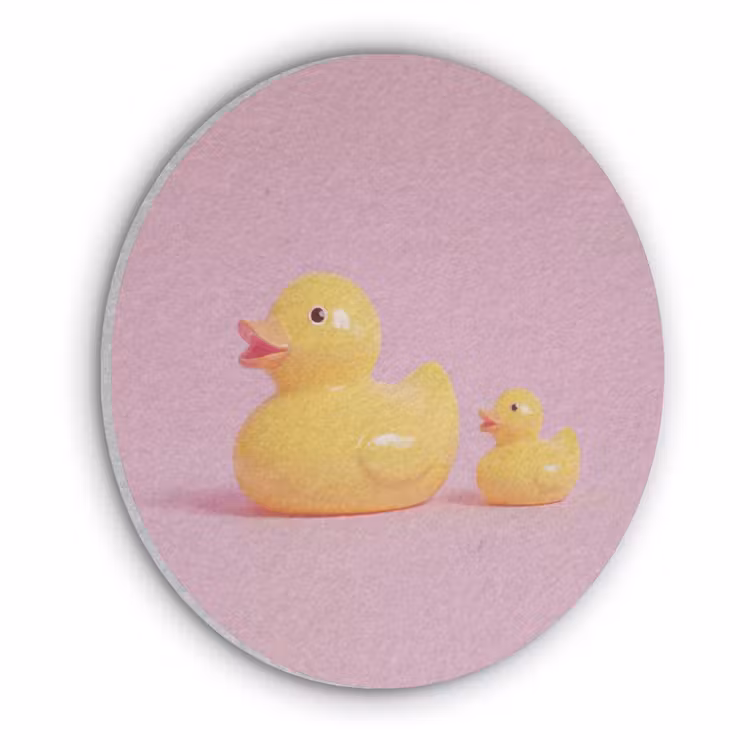 Eendjes - Vrolijk - Roze Akoestische PET Vilt - Rond klein -3d