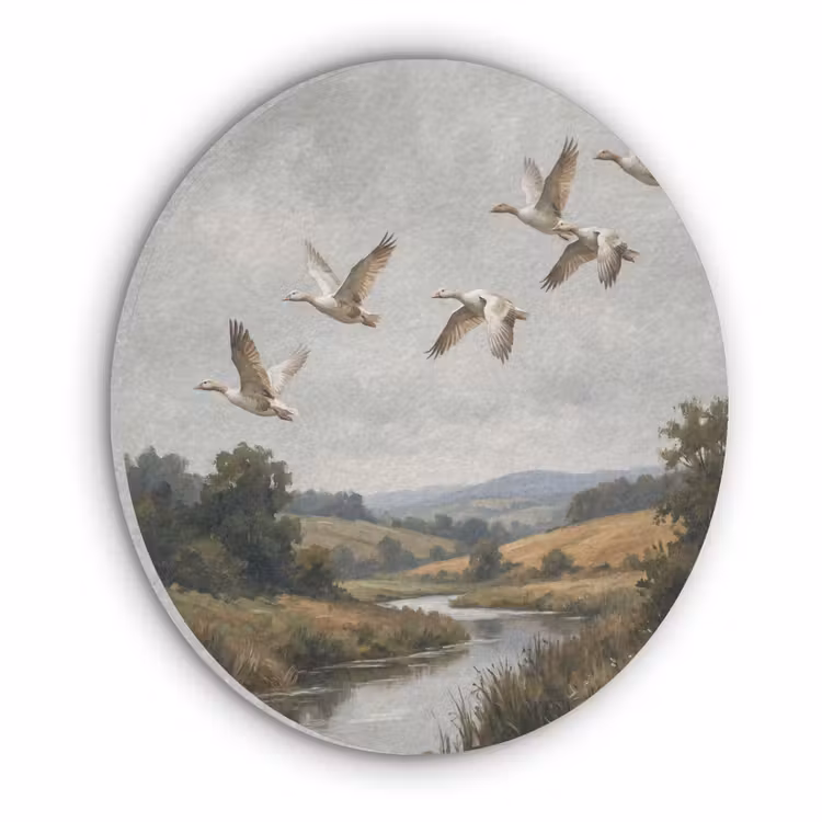 Eenden - Rivier - Landschap - Vlucht - Nostalgisch Akoestische PET Vilt - Rond klein -3d