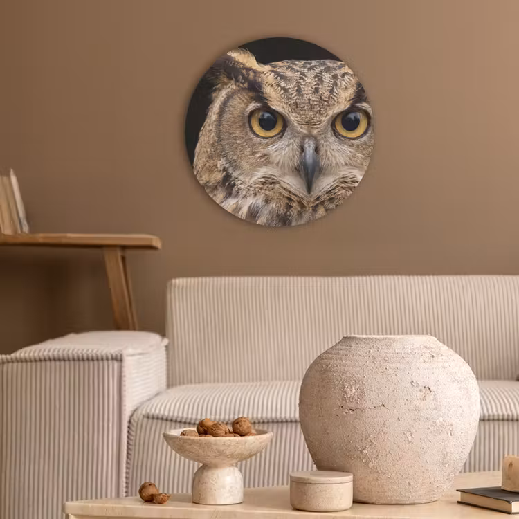 Oehoe - Uil - Portret - Bruin Akoestische PET Vilt - Rond klein -sfeer1