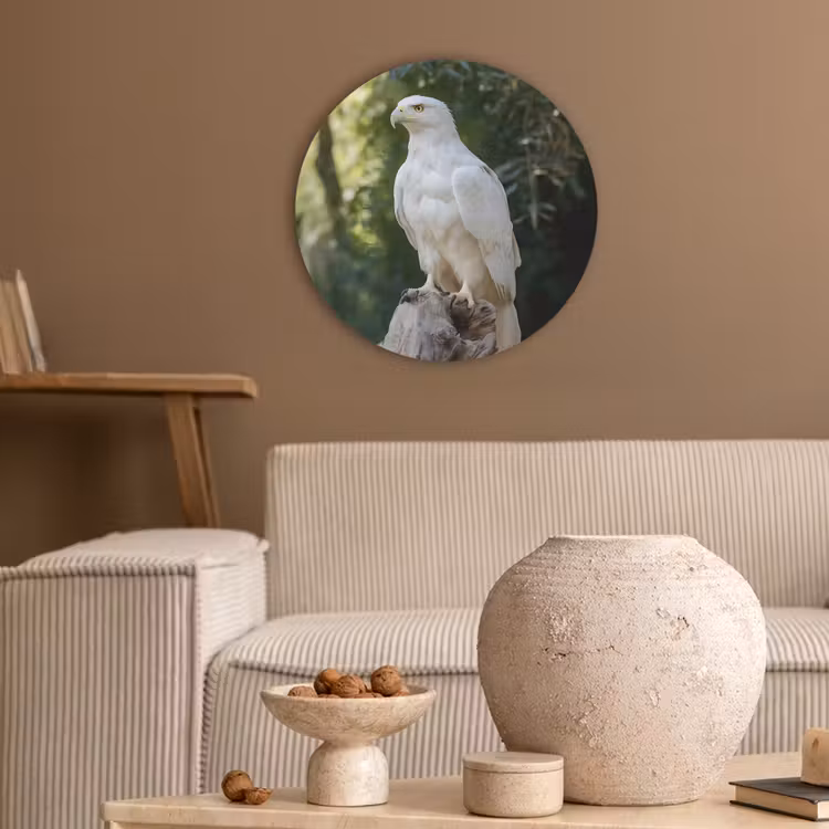 Arend - Hout - Wit - Planten Akoestische PET Vilt - Rond klein -sfeer1