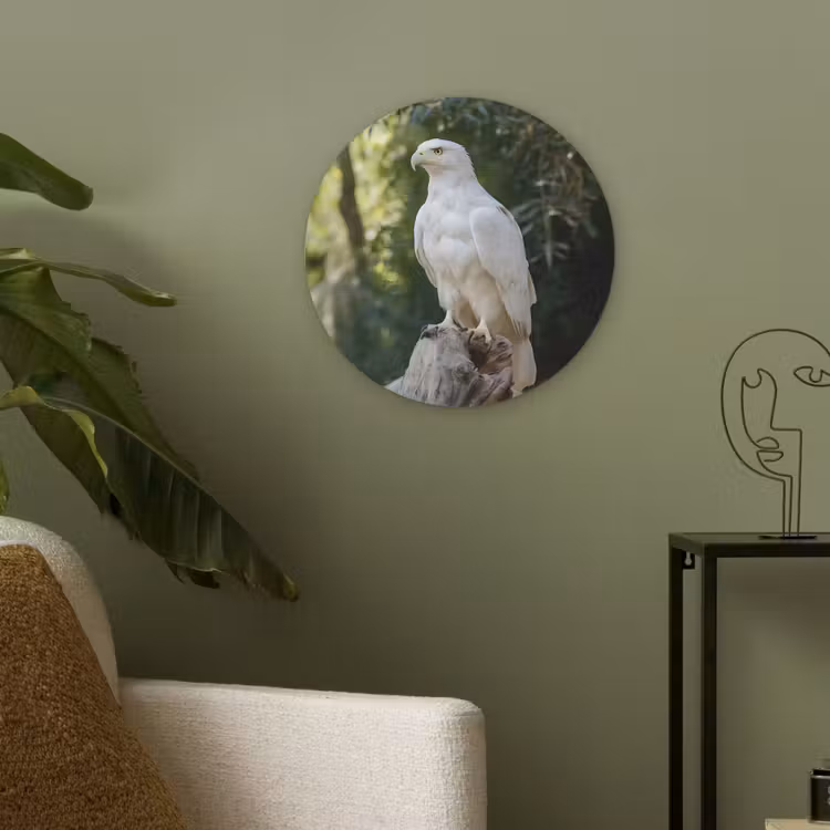 Arend - Hout - Wit - Planten Akoestische PET Vilt - Rond klein -sfeer2