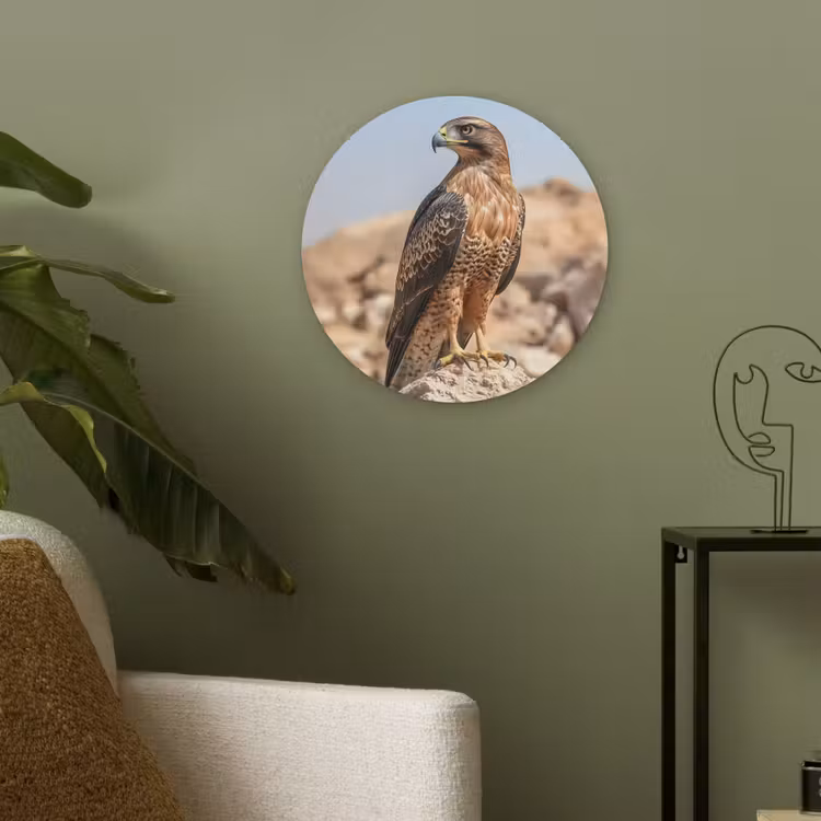 Valk - Vogel - Rots - Macht Akoestische PET Vilt - Rond klein -sfeer2