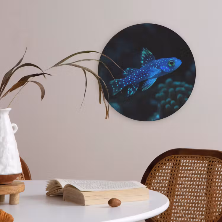 Vis - Stippen - Koraal - Blauw Akoestische PET Vilt - Rond klein -sfeer3